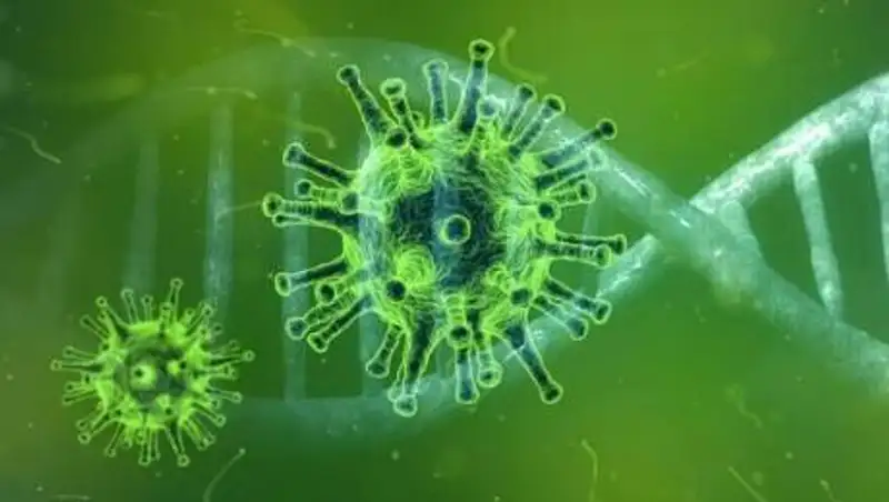 Обнаружен ген, блокирующий смертельные вирусы