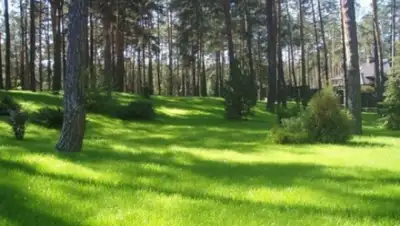 Zakon.kz, фото - Новости Zakon.kz от 20.07.2015 01:35