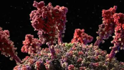 National Geographic, фото - Новости Zakon.kz от 19.12.2020 01:44