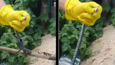 Хабар 24, фото - Новости Zakon.kz от 16.07.2018 06:11