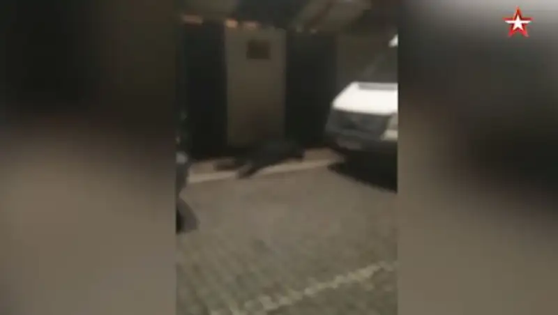 Расстрелявший семью мужчина попал на видео