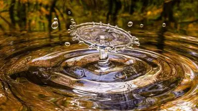 pixabay.com, фото - Новости Zakon.kz от 07.09.2021 21:39