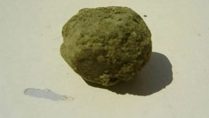 В СКО задержан россиянин, перевозивший гашиш в кармане брюк