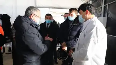 zakon.kz., фото - Новости Zakon.kz от 21.11.2020 12:12