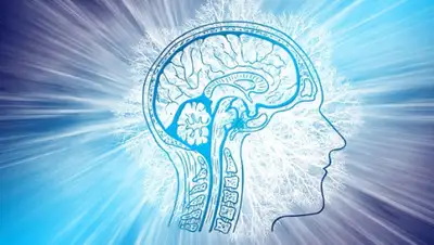 Pixabay, фото - Новости Zakon.kz от 05.09.2020 17:20