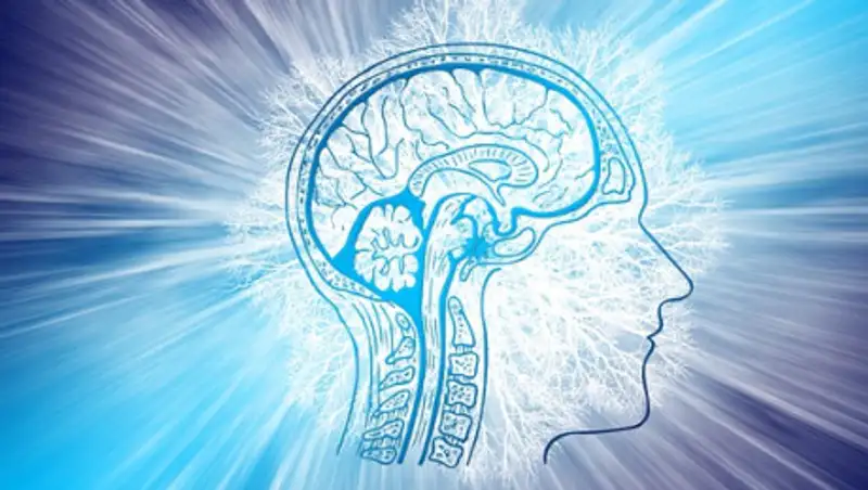 У космонавтов нашли изменения в мозге