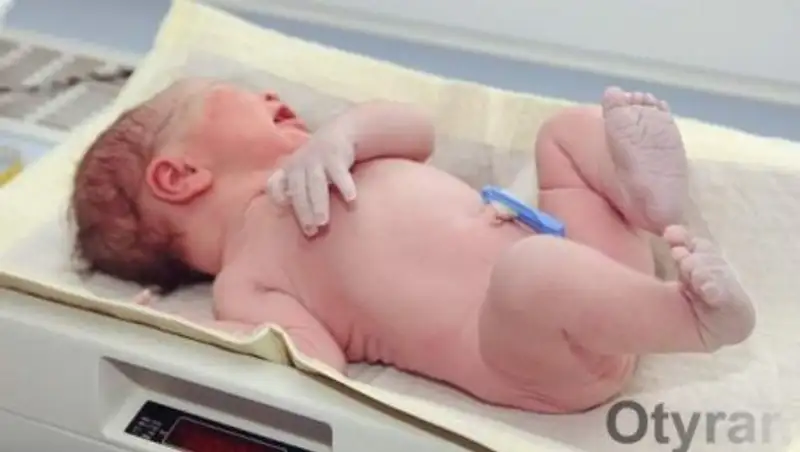 Купленные в Шымкенте дети останутся в приемных семьях