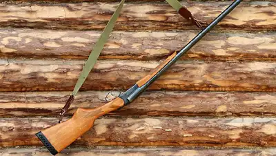 охотники убили диких кабанов в заповеднике, фото - Новости Zakon.kz от 06.08.2022 07:46