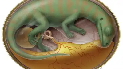 Zakon.kz, фото - Новости Zakon.kz от 15.03.2016 22:43