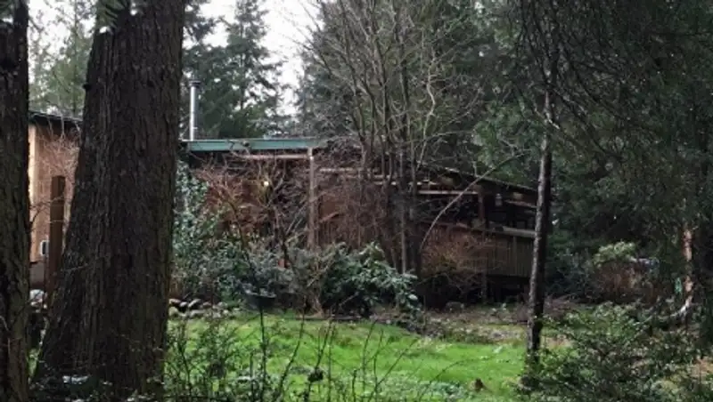 Как жертвой убийства в США стали подростки, усыновленные в Казахстане