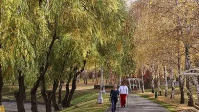 Zakon.kz, фото - Новости Zakon.kz от 24.09.2016 12:00