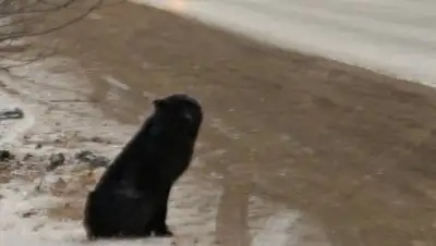 "Уральская неделя", фото - Новости Zakon.kz от 28.12.2020 16:53