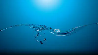 Vakademe.ru, фото - Новости Zakon.kz от 19.04.2019 17:19