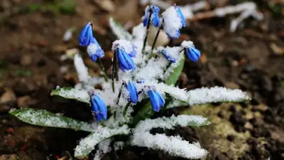 Синоптики предупреждают, что в марте погода в Казахстане будет неустойчивой, фото - Новости Zakon.kz от 01.03.2023 18:42