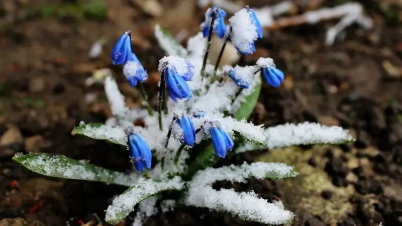 Синоптики предупреждают, что в марте погода в Казахстане будет неустойчивой