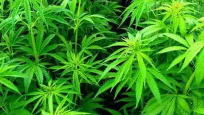 Zakon.kz, фото - Новости Zakon.kz от 23.08.2017 14:10