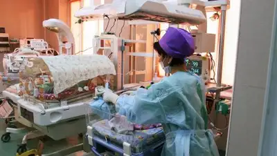 Zakon.kz, фото - Новости Zakon.kz от 22.01.2018 11:27