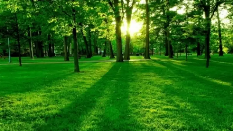 В Алматы будут созданы мини-зоны для отдыха горожан