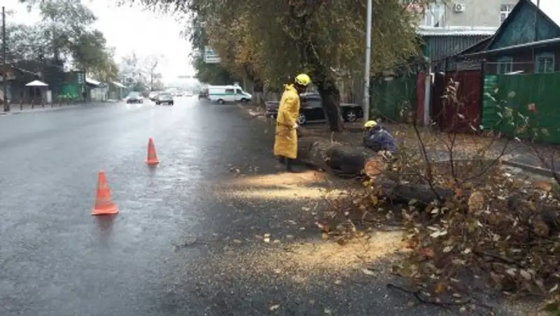 В Алматы спасатели продолжают ликвидировать последствия непогоды