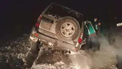 скотокрад, лошадь, фото - Новости Zakon.kz от 24.11.2021 19:37