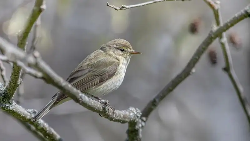 Гороскоп для всех знаков зодиака на 24 сентября