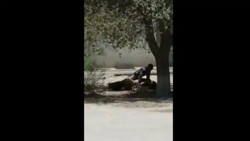 Очевидцы засняли любовные утехи парочки в центре Актау