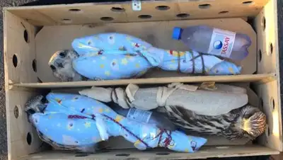 пресс-служба Пограничной службы КНБ РК, фото - Новости Zakon.kz от 23.09.2018 13:03