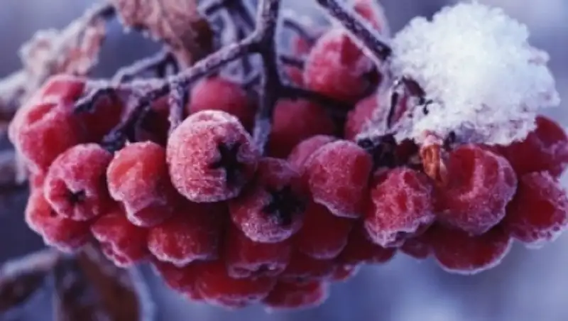 В понедельник на большей части РК ожидаются погода без осадков