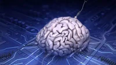 Zakon.kz, фото - Новости Zakon.kz от 30.01.2015 18:05