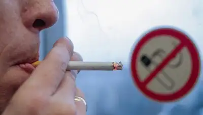 neonomad.kz, фото - Новости Zakon.kz от 08.07.2020 15:57