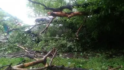 Zakon.kz, фото - Новости Zakon.kz от 28.07.2017 01:35