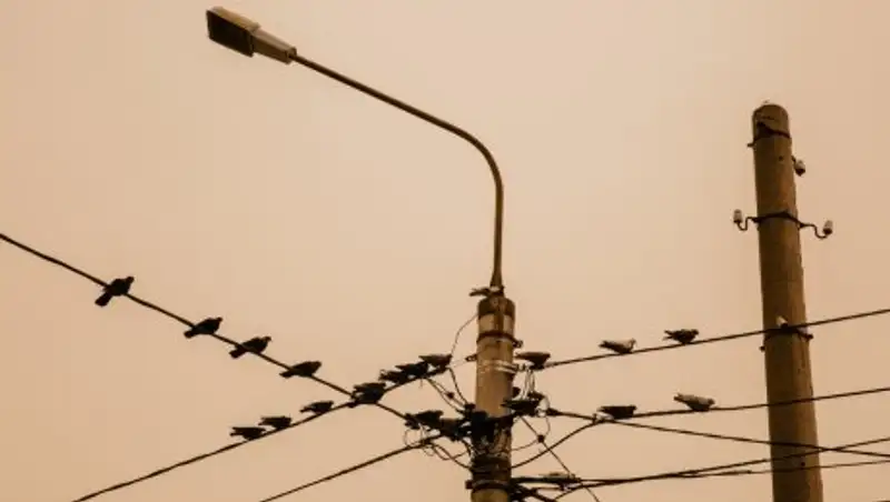 В четверг казахстанцев ожидают пыльные бури