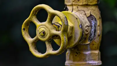 pixabay.com, фото - Новости Zakon.kz от 19.08.2019 23:20