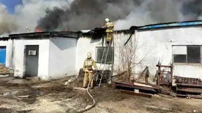 пожар, огнеборцы, фото - Новости Zakon.kz от 04.04.2023 15:54
