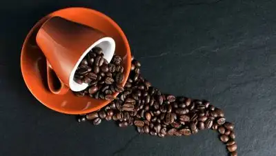 pixabay.com, фото - Новости Zakon.kz от 17.03.2021 00:45