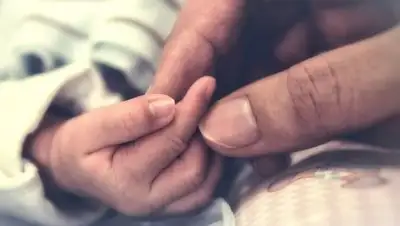 ТСН, фото - Новости Zakon.kz от 26.04.2018 18:09