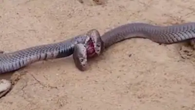 РЕН ТВ, фото - Новости Zakon.kz от 07.06.2018 21:22