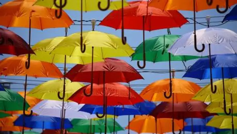 Какие HD и 4K-каналы предлагают российские операторы