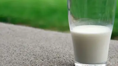 Выпил кефира – лишился прав: какие продукты дают промилле на алкотестере, фото - Новости Zakon.kz от 11.07.2023 16:11