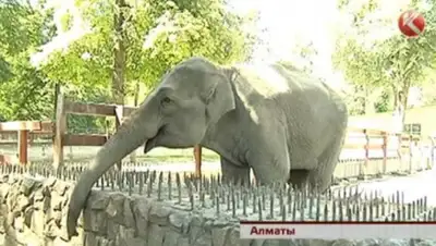 Zakon.kz, фото - Новости Zakon.kz от 20.06.2015 08:00