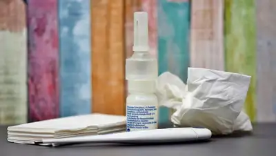 Pixabay, фото - Новости Zakon.kz от 11.09.2020 13:38