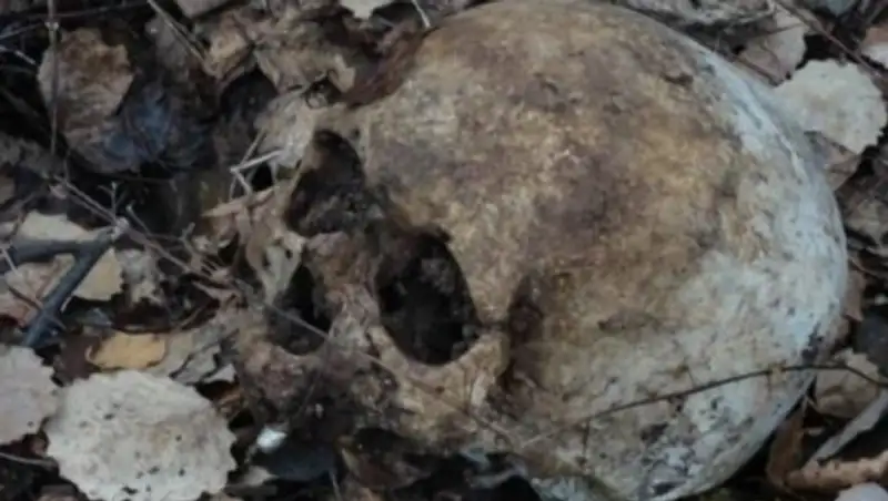 В Актобе студенты на субботнике нашли 5 скелетов