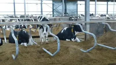 Zakon.kz, фото - Новости Zakon.kz от 13.06.2017 16:09