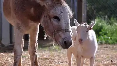 Zakon.kz, фото - Новости Zakon.kz от 27.05.2014 23:49