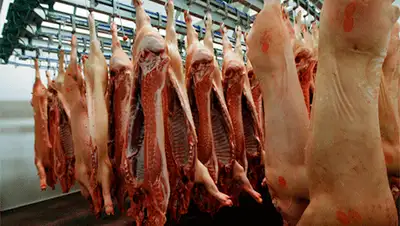 Zakon.kz, фото - Новости Zakon.kz от 26.10.2013 18:22