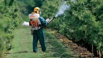 из открытых источников, фото - Новости Zakon.kz от 29.07.2018 11:47