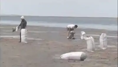 Zakon.kz, фото - Новости Zakon.kz от 18.10.2014 16:26