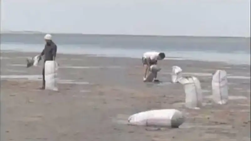 20 мешков с цистами рачков артемия изъяли полицейские в Кокшетау