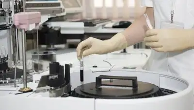 pixabay, фото - Новости Zakon.kz от 11.08.2021 07:35