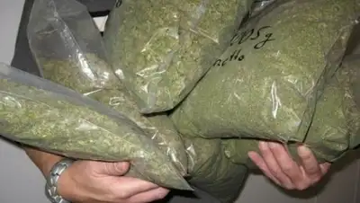 Zakon.kz, фото - Новости Zakon.kz от 16.01.2017 15:34